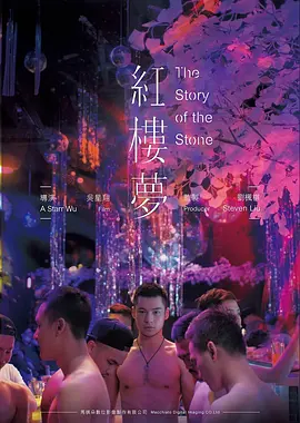 小小影视高分文艺电影白鸟不飞海报